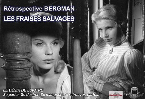 LES FRAISES SAUVAGES au CHAMPO